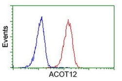 ACOT12 Monoclonal Antibody (OTI2F10), TrueMAB , OriGene 100 &mu;L; Unconjugated:Antibodies,