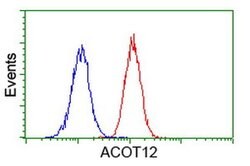 ACOT12 Monoclonal Antibody (OTI2F10), TrueMAB , OriGene 100 &mu;L; Unconjugated:Antibodies,