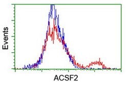 ACSF2 Mouse anti-Human, Clone: OTI6E4, lyophilized, TrueMAB 100 &mu;g;