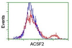 ACSF2 Monoclonal Antibody (OTI6E4), TrueMAB , OriGene 30 &mu;L; Unconjugated:Antibodies,