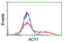 ACY1 Monoclonal Antibody (OTI1B12), TrueMAB , OriGene 30 &mu;L; Unconjugated:Antibodies,