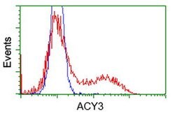 ACY3 Mouse anti-Human, Clone: OTI3A1, lyophilized, TrueMAB 100 &mu;g; Unconjugated:Antibodies,
