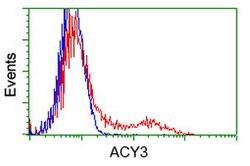 ACY3 Mouse anti-Human, Clone: OTI4C1, lyophilized, TrueMAB 100 &mu;g; Unconjugated:Antibodies,