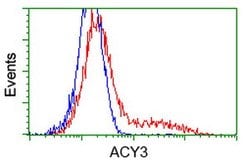 ACY3 Mouse anti-Human, Clone: OTI2D5, lyophilized, TrueMAB 100 &mu;g; Unconjugated:Antibodies,
