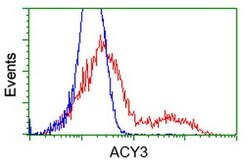 ACY3 Mouse anti-Canine, Human, Clone: OTI4H7, lyophilized, TrueMAB 100