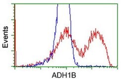 ADH1B Mouse anti-Human, Rat, Clone: OTI4F12, liquid, TrueMAB 30 &mu;L;
