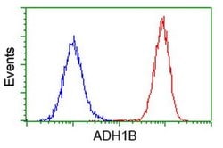 ADH1B Mouse anti-Human, Rat, Clone: OTI4F12, liquid, TrueMAB 30 &mu;L;