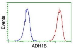 ADH1B Mouse anti-Human, Rat, Clone: OTI4F12, liquid, TrueMAB 30 &mu;L;