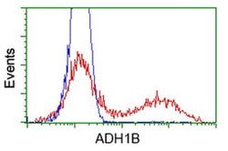 ADH1B Monoclonal Antibody (OTI3C12), TrueMAB , OriGene:Antibodies:Primary