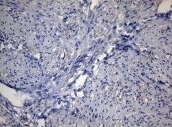ADH5 Monoclonal Antibody (OTI10A10), TrueMAB , OriGene 100 &mu;L; Unconjugated:Antibodies,