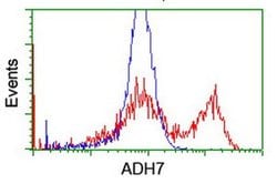 ADH7 Monoclonal Antibody (OTI2C3), TrueMAB , OriGene 30 &mu;L; Unconjugated:Antibodies,