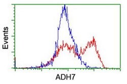 ADH7 Monoclonal Antibody (OTI2D11), TrueMAB , OriGene 100 &mu;L; Unconjugated:Antibodies,