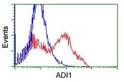 ADI1 Monoclonal Antibody (OTI3H6), TrueMAB , OriGene 100 &mu;L; Unconjugated:Antibodies,