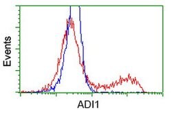 ADI1 Mouse anti-Human, Clone: OTI5C2, lyophilized, TrueMAB 100 &mu;g; Unconjugated:Antibodies,