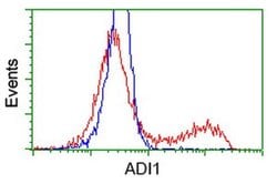 ADI1 Mouse anti-Human, Clone: OTI5C2, liquid, TrueMAB 100 &mu;L; Unconjugated:Antibodies,