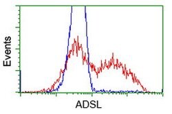 ADSL Mouse anti-Canine, Human, Rat, Clone: OTI2D10, lyophilized, TrueMAB