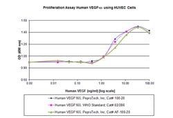 Gibco Human VEGF-165, Animal-Free Recombinant Protein, PeproTech 250 &mu;g | Buy Online | Gibco&trade; | Fisher Scientific