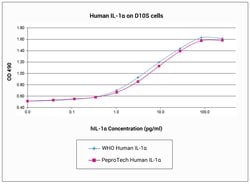 Gibco Human IL-1 alpha, Animal-Free Recombinant Protein, PeproTech 10 &mu;g | Buy Online | Gibco&trade; | Fisher Scientific