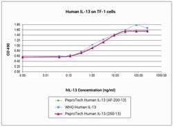 Gibco Human IL-13, Animal-Free Recombinant Protein, PeproTech