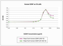 Gibco™ Human GDNF, Animal-Free Recombinant Protein, PeproTech®