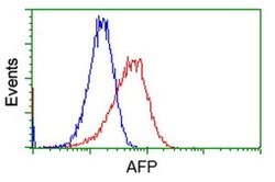 AFP Monoclonal Antibody (OTI1D1), TrueMAB , OriGene 30 &mu;L; Unconjugated:Antibodies,