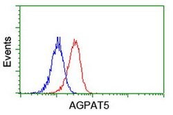 AGPAT5 Mouse anti-Human, Clone: OTI1D12, lyophilized, TrueMAB 100 &mu;g;