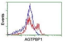 AGTPBP1 Mouse anti-Human, Clone: OTI9B8, lyophilized, TrueMAB 100 &mu;g;