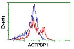 AGTPBP1 Mouse anti-Human, Clone: OTI9B8, liquid, TrueMAB 100 &mu;L; Unconjugated:Antibodies,
