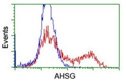 AHSG Mouse anti-Human, Clone: OTI2H2, lyophilized, TrueMAB 100 &mu;g; Unconjugated:Antibodies,
