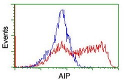 AIP Mouse anti-Human, Clone: OTI1B6, lyophilized, TrueMAB 100 &mu;g; Unconjugated:Antibodies,