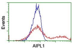 AIPL1 Monoclonal Antibody (OTI2D11), TrueMAB , OriGene:Antibodies:Primary