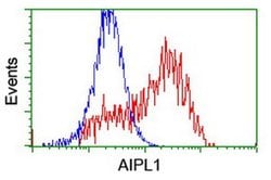AIPL1 Monoclonal Antibody (OTI2B11), TrueMAB , OriGene 100 &mu;L; Unconjugated:Antibodies,
