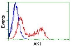 AK1 Mouse anti-Human, Clone: OTI8A1, lyophilized, TrueMAB 100 &mu;g; Unconjugated:Antibodies,