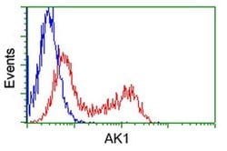 AK1 Mouse anti-Human, Clone: OTI8A1, liquid, TrueMAB 100 &mu;L; Unconjugated:Antibodies,