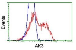AK3 Monoclonal Antibody (OTI5A1), TrueMAB , OriGene 30 &mu;L; Unconjugated:Antibodies,