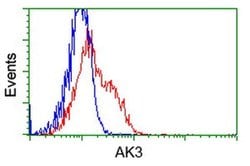 AK3 Monoclonal Antibody (OTI3G1), TrueMAB , OriGene 100 &mu;L; Unconjugated:Antibodies,