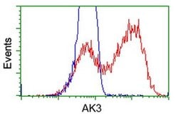 AK3 Monoclonal Antibody (OTI4A2), TrueMAB , OriGene:Antibodies:Primary
