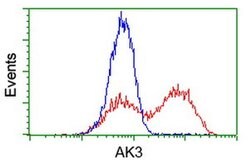 AK3 Monoclonal Antibody (OTI6G4), TrueMAB , OriGene 30 &mu;L; Unconjugated:Antibodies,