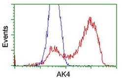 AK4 Monoclonal Antibody (OTI3E1), TrueMAB , OriGene 30 &mu;L; Unconjugated:Anticuerpos