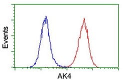 AK4 Monoclonal Antibody (OTI3E1), TrueMAB , OriGene 30 &mu;L; Unconjugated:Anticuerpos