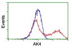 AK4 Monoclonal Antibody (OTI5E7), TrueMAB , OriGene 100 &mu;L; Unconjugated:Antibodies,