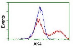 AK4 Mouse anti-Canine, Human, Mouse, Rat, Clone: OTI3B1, lyophilized, TrueMAB