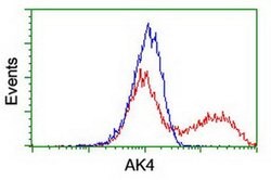 AK4 Mouse anti-Canine, Human, Mouse, Rat, Clone: OTI3B1, liquid, TrueMAB