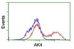 AK4 Mouse anti-Human, Clone: OTI2D1, lyophilized, TrueMAB 100 &mu;g | Buy Online | Origene Technologies | Fisher Scientific