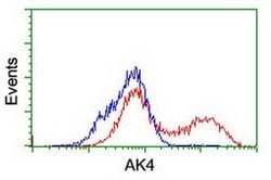 AK4 Monoclonal Antibody (OTI2D1), TrueMAB , OriGene:Antibodies:Primary