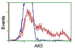 AK5 Monoclonal Antibody (OTI1D6), TrueMAB , OriGene 100 &mu;L; Unconjugated:Antibodies,