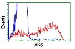 AK5 Monoclonal Antibody (OTI2D3), TrueMAB , OriGene:Antibodies:Primary