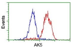 AK5 Monoclonal Antibody (OTI1G3), TrueMAB , OriGene:Antibodies:Primary