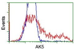 AK5 Monoclonal Antibody (OTI2F9), TrueMAB , OriGene 100 &mu;L; Unconjugated:Antibodies,