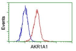 AKR1A1 Mouse anti-Human, Clone: OTI8H2, liquid, TrueMAB 100 &mu;L; Unconjugated:Antibodies,